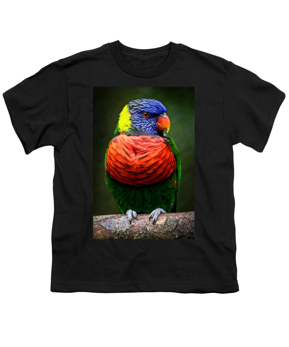 Lorikeet Youth T-Shirt featuring the photograph Lorikeet Perched by Athena Mckinzie