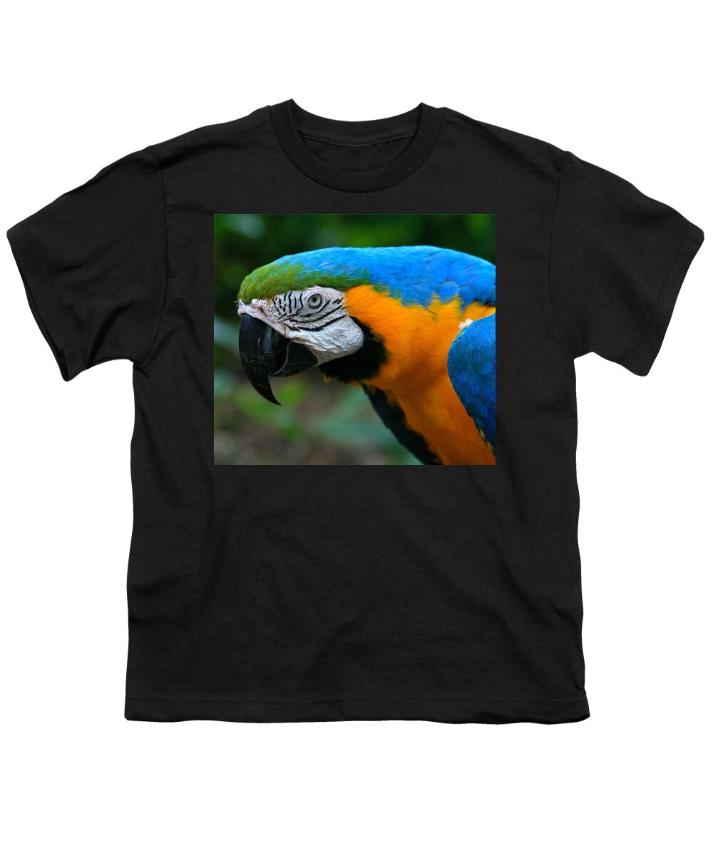Macaw Youth T-Shirt featuring the photograph Macaw with sweet expression by Karon Melillo DeVega