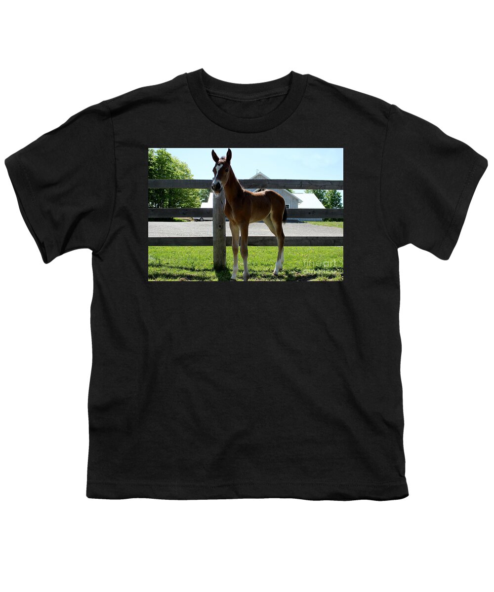 Foal Youth T-Shirt featuring the photograph Mare Foal91 by Janice Byer