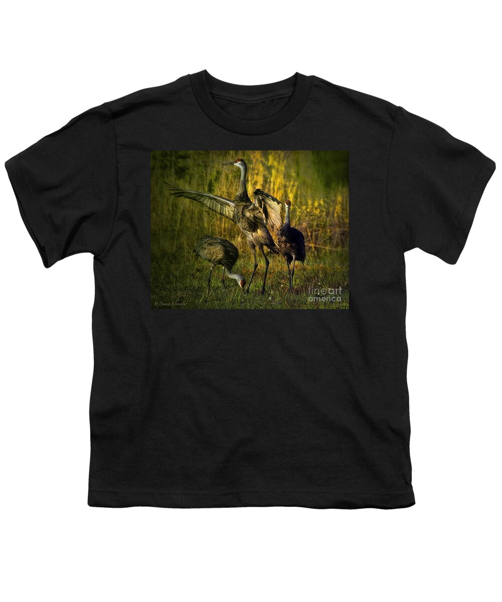 Birds Youth T-Shirt featuring the digital art May I Have This Dance by Lianne Schneider