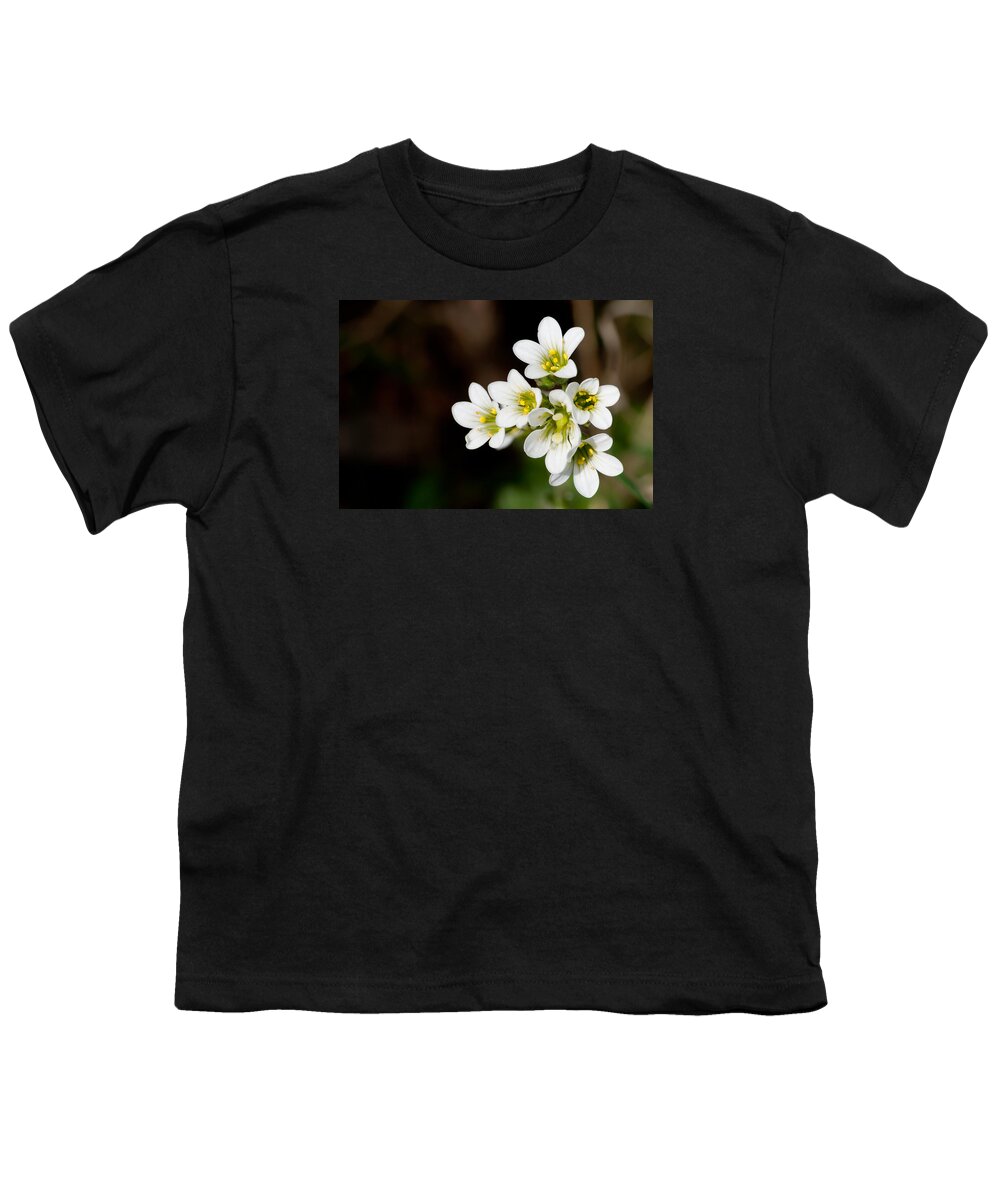Meadow Saxifrage Youth T-Shirt featuring the photograph Meadow Saxifrage by Torbjorn Swenelius