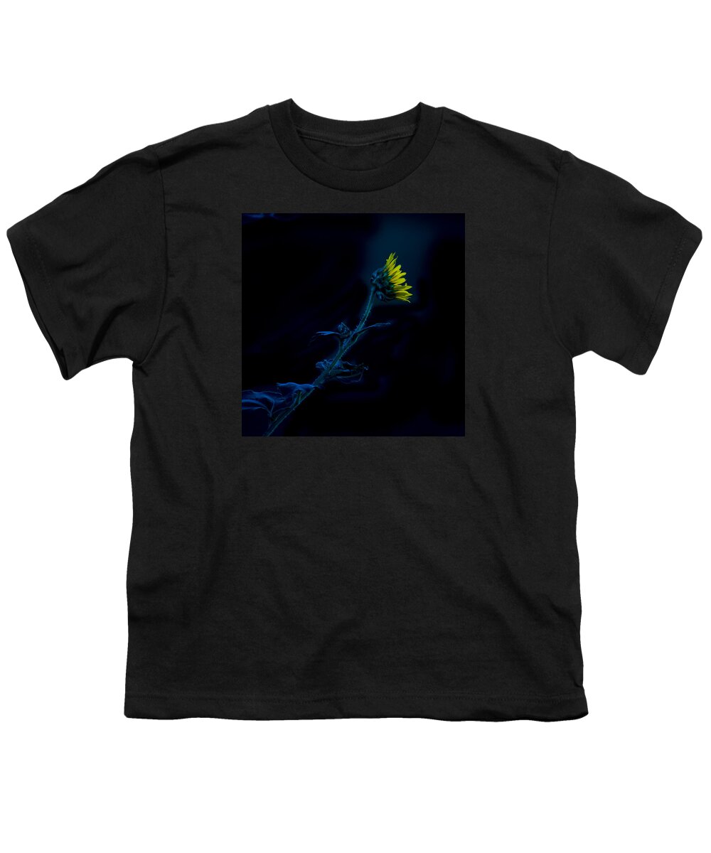 Sunflower Youth T-Shirt featuring the photograph Midnight Sunflower by Darryl Dalton