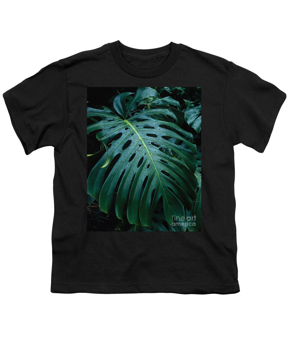 Monstera Plant Youth T-Shirt featuring the photograph Monstera Plant by Tracy Knauer
