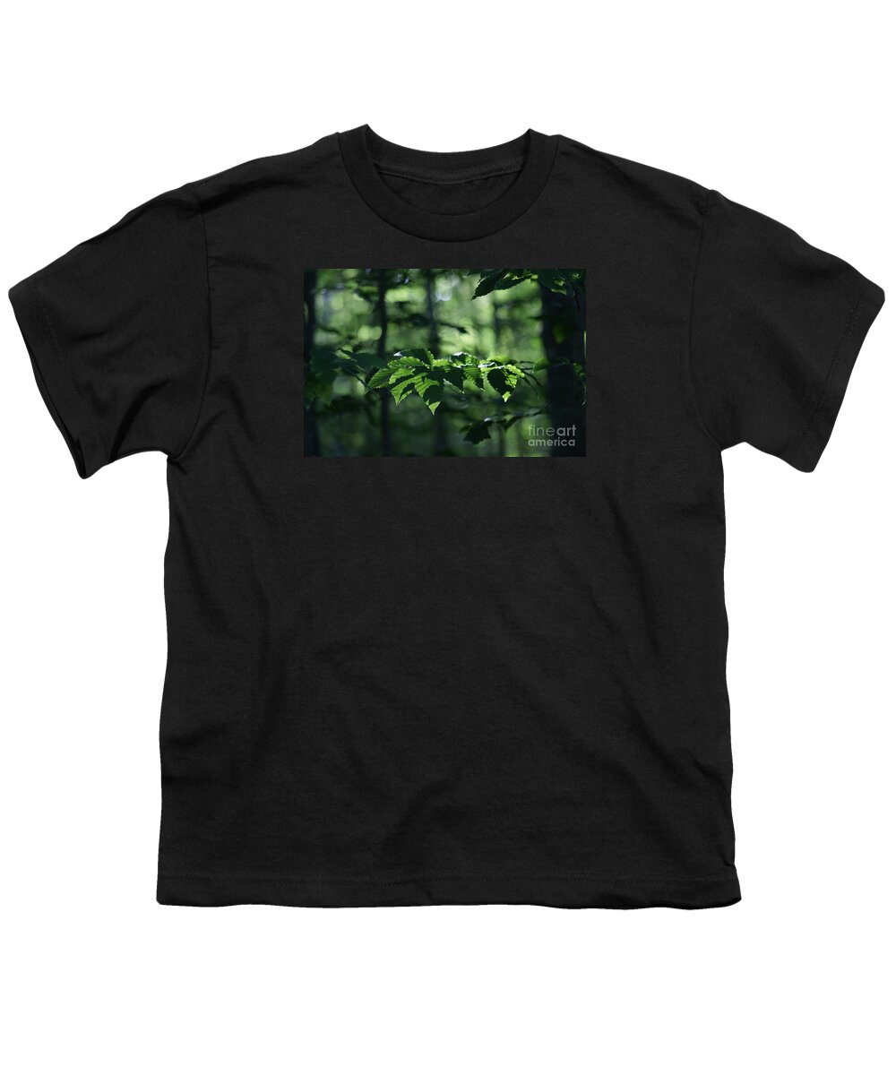 Woods Youth T-Shirt featuring the photograph Never Far From My Thoughts by Linda Shafer