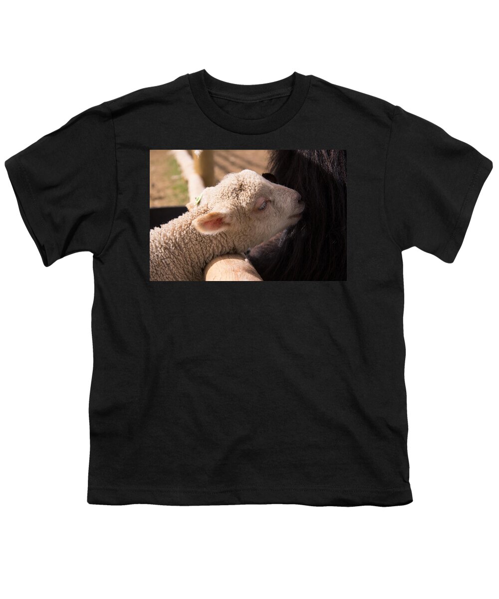 Sheep Youth T-Shirt featuring the photograph New Friends by Kathy Bassett