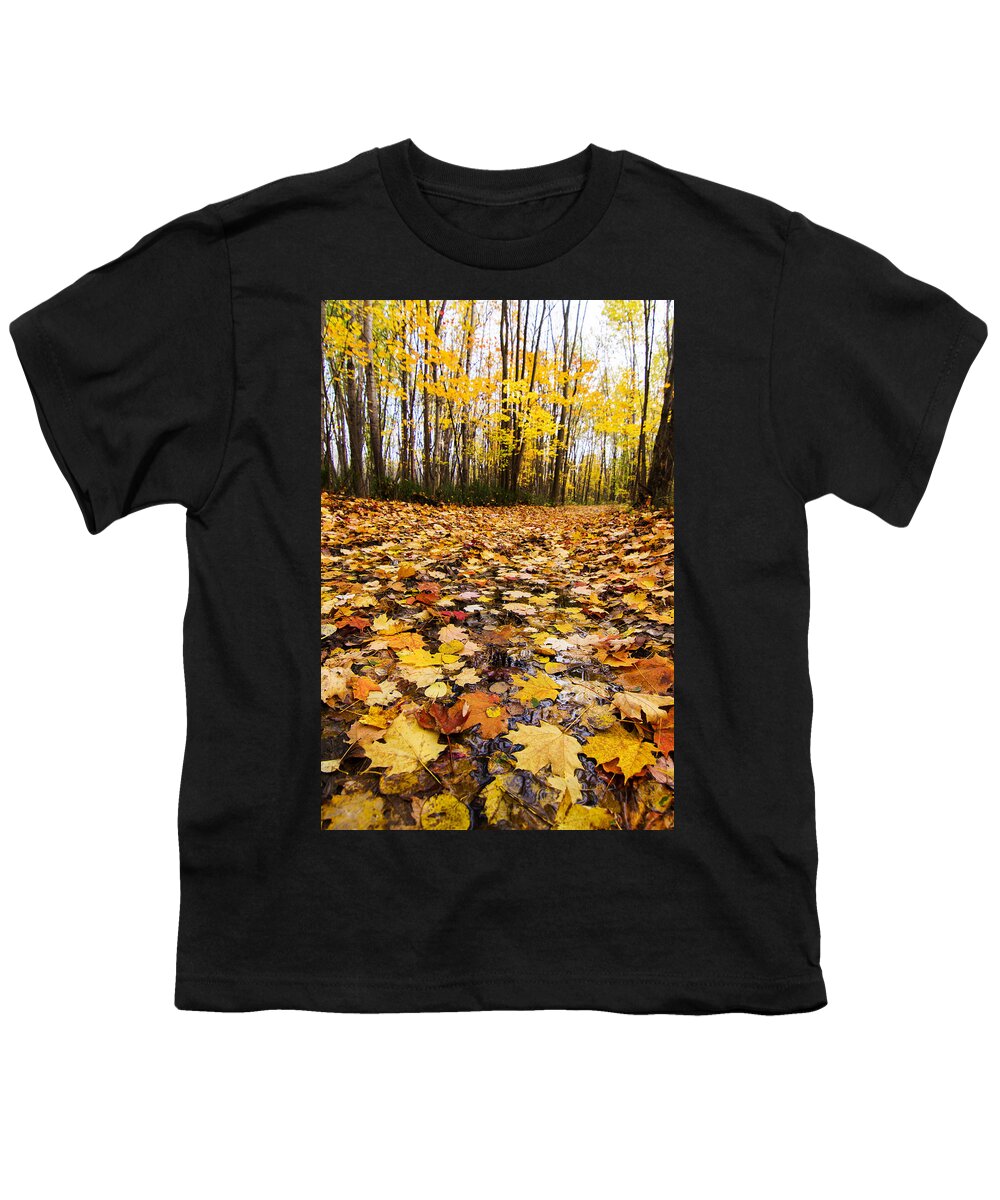 Autumn Youth T-Shirt featuring the photograph October Maple Forest by Mircea Costina Photography