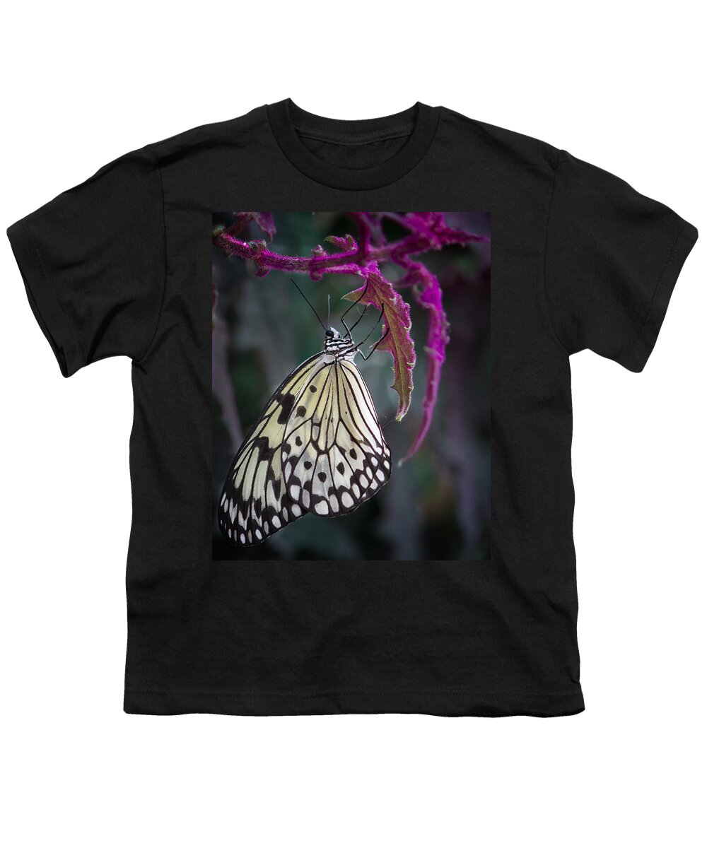 Shirley Mitchell Youth T-Shirt featuring the photograph Paper Kite  by Shirley Mitchell