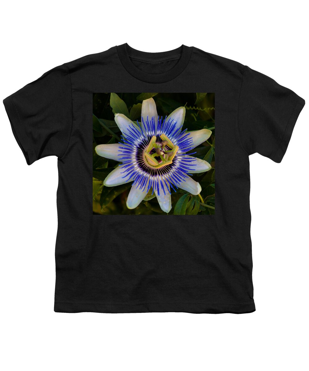 Flower Youth T-Shirt featuring the photograph Passion Flower Aglow by Lynne Jenkins