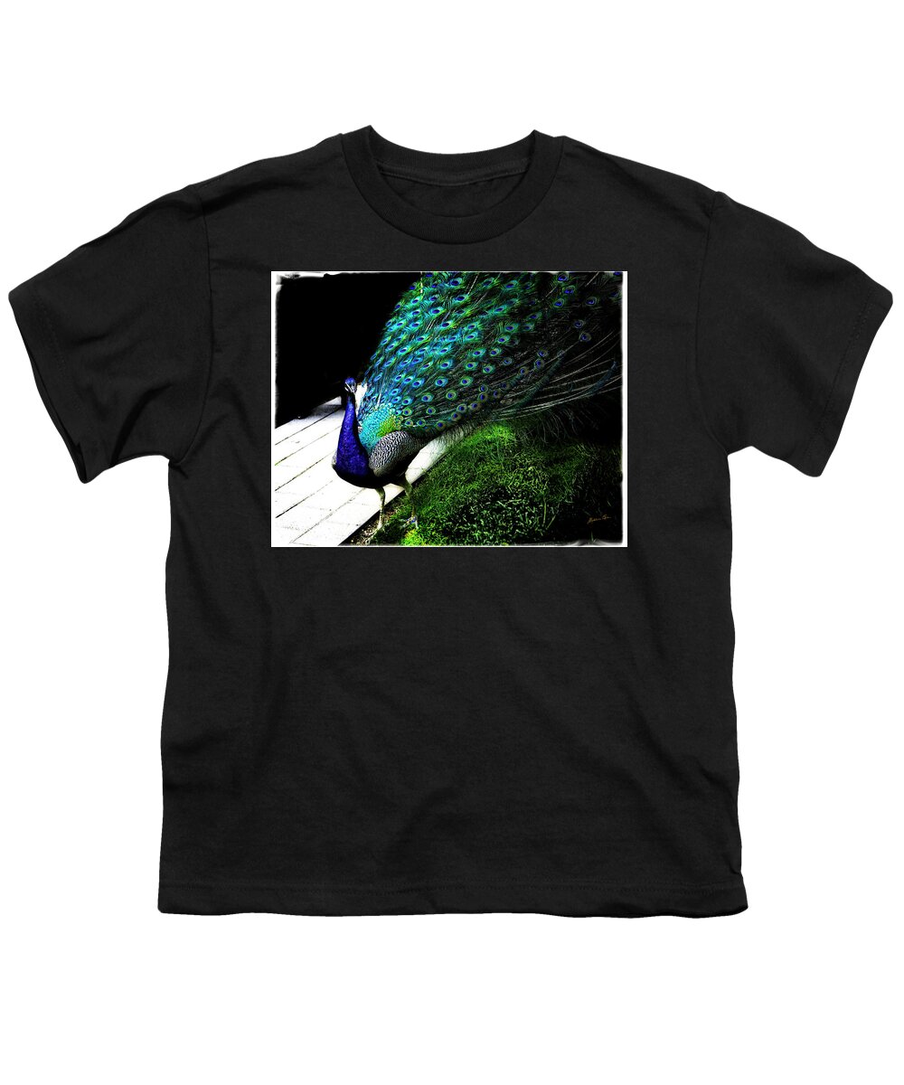Peacock Youth T-Shirt featuring the photograph Peacock Beauty 4 by Madeline Ellis