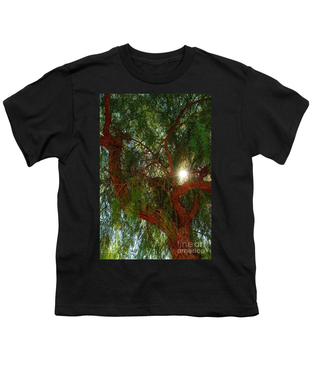 Weeping Willow Youth T-Shirt featuring the photograph PeeKinG SuN WeepinG WiLLoW by Angela J Wright
