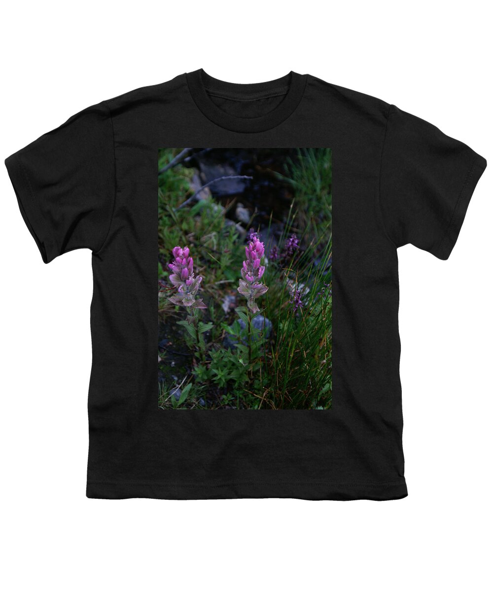 Landscapes Youth T-Shirt featuring the photograph Pink Paintbrush by Jeremy Rhoades