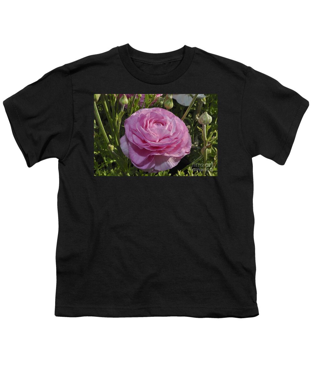 Pink Youth T-Shirt featuring the photograph Pink Ranunculus by Bridgette Gomes