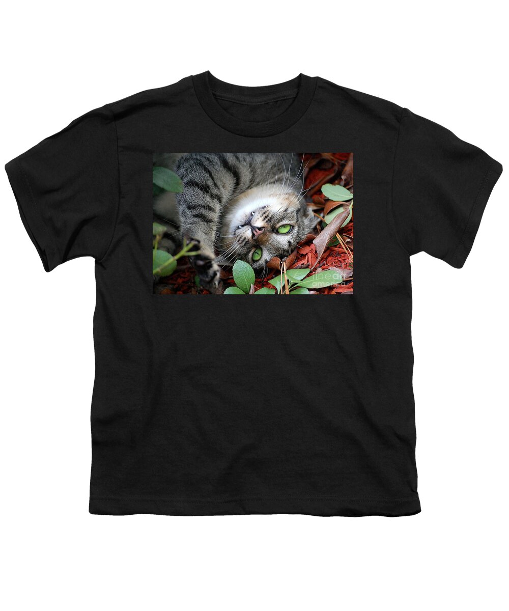 Animals Youth T-Shirt featuring the photograph Playtime by Kathy Baccari