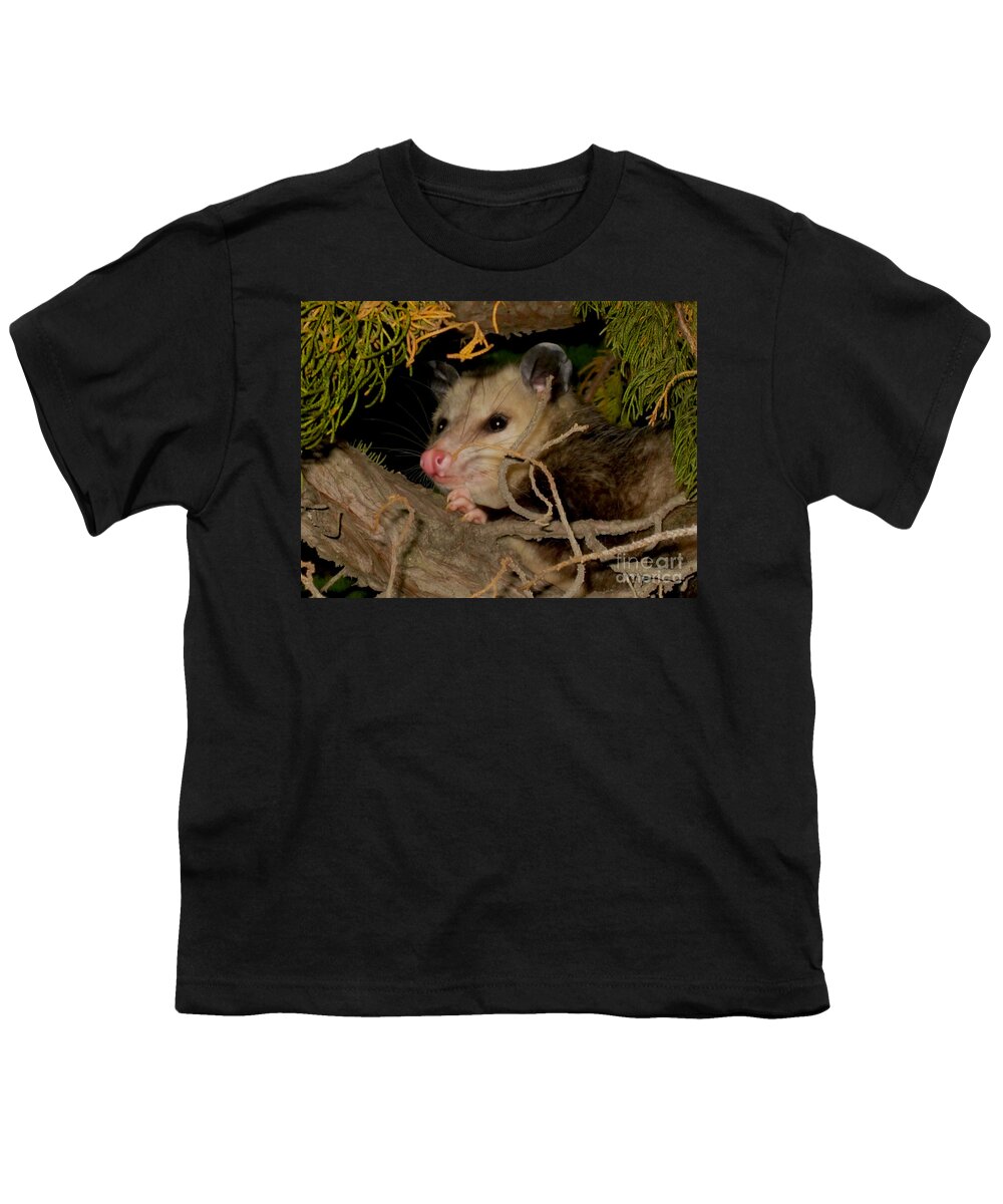 Claudia's Art Dream Youth T-Shirt featuring the photograph Possum Portrait by Claudia Ellis