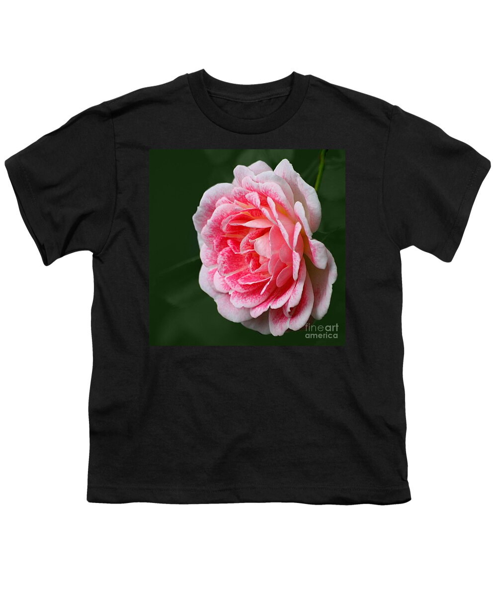 Rose Youth T-Shirt featuring the photograph Pretty Pink Rose by Jeremy Hayden
