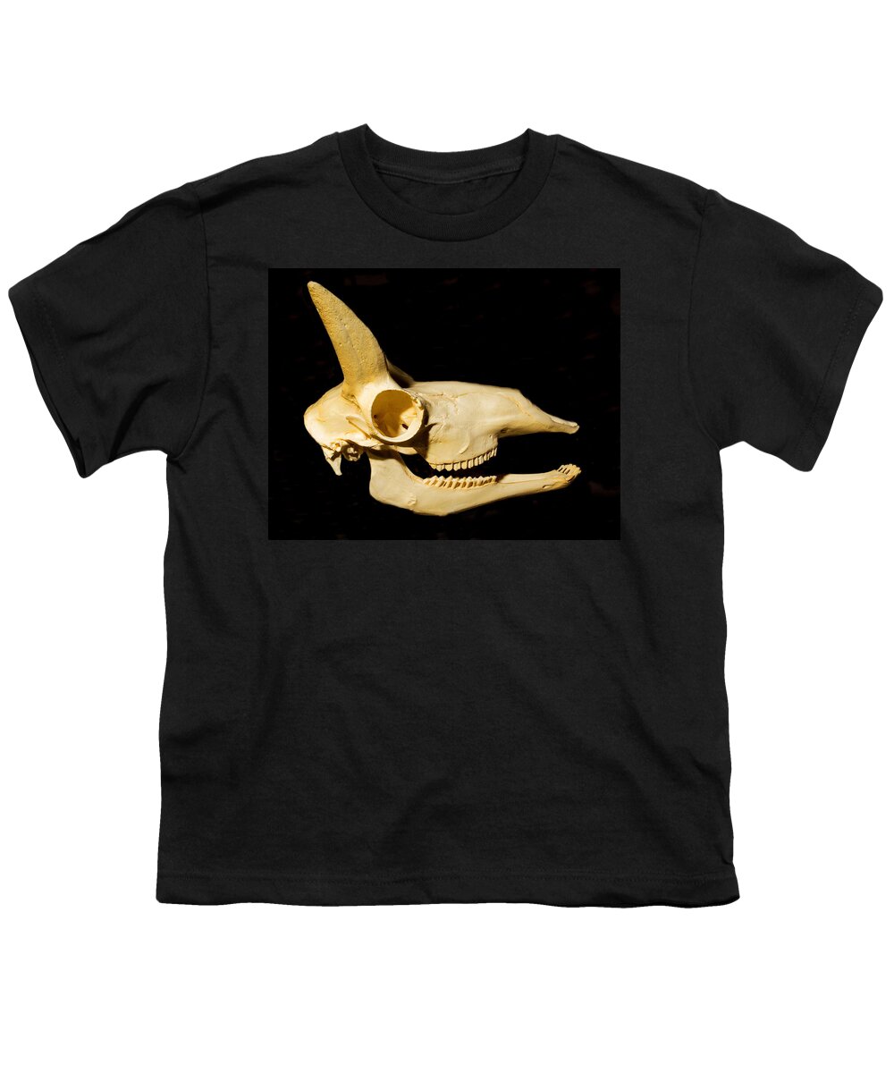Nature Youth T-Shirt featuring the photograph Pronghorn Antelope Skull by Millard H. Sharp