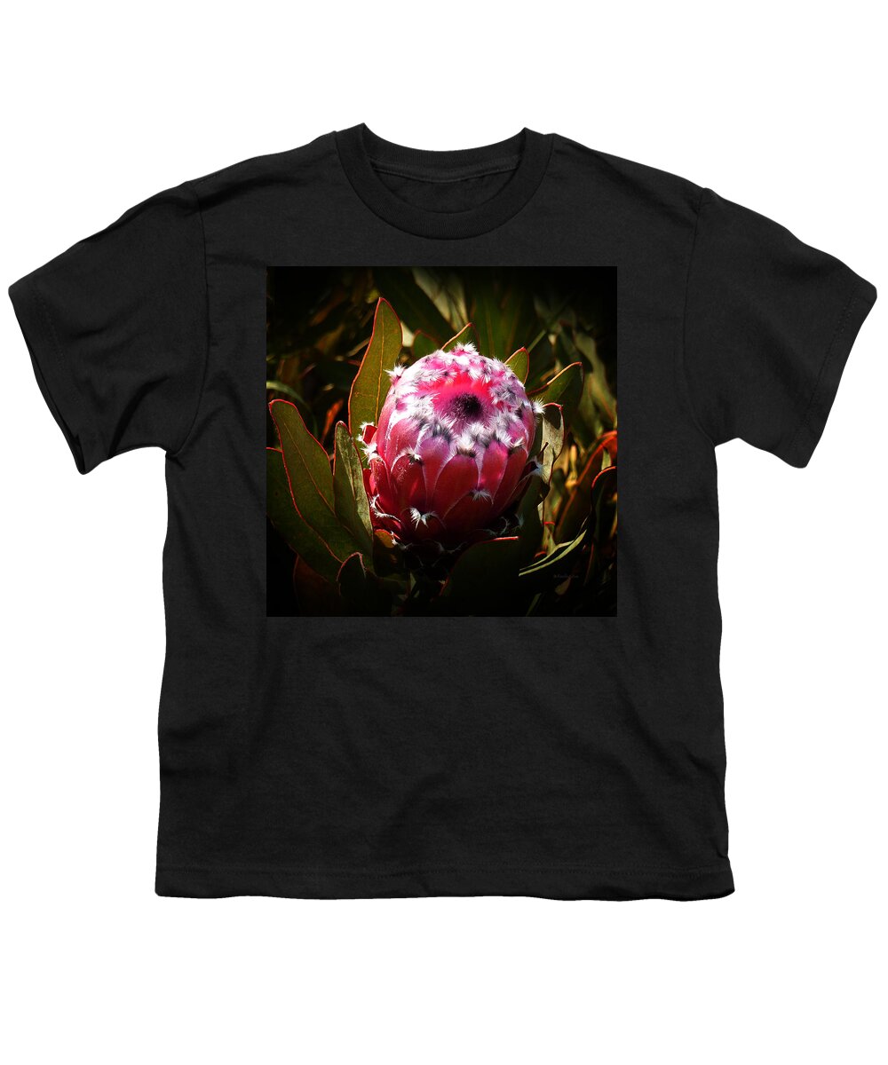 Protea Youth T-Shirt featuring the photograph Protea Flower 7 by Xueling Zou