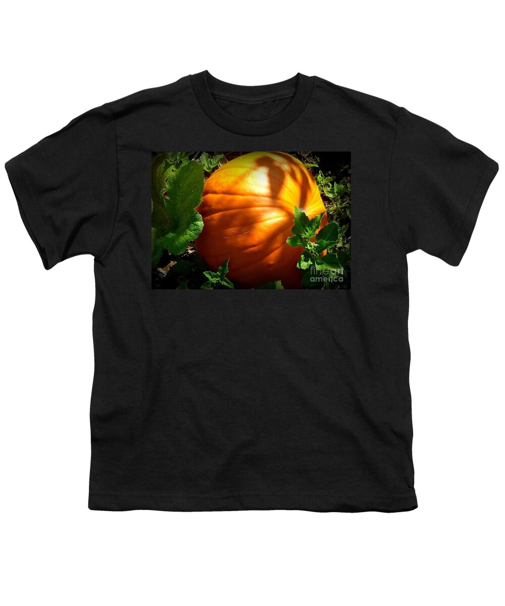 Fall Season Youth T-Shirt featuring the photograph Pumpkin Shade by Susan Garren
