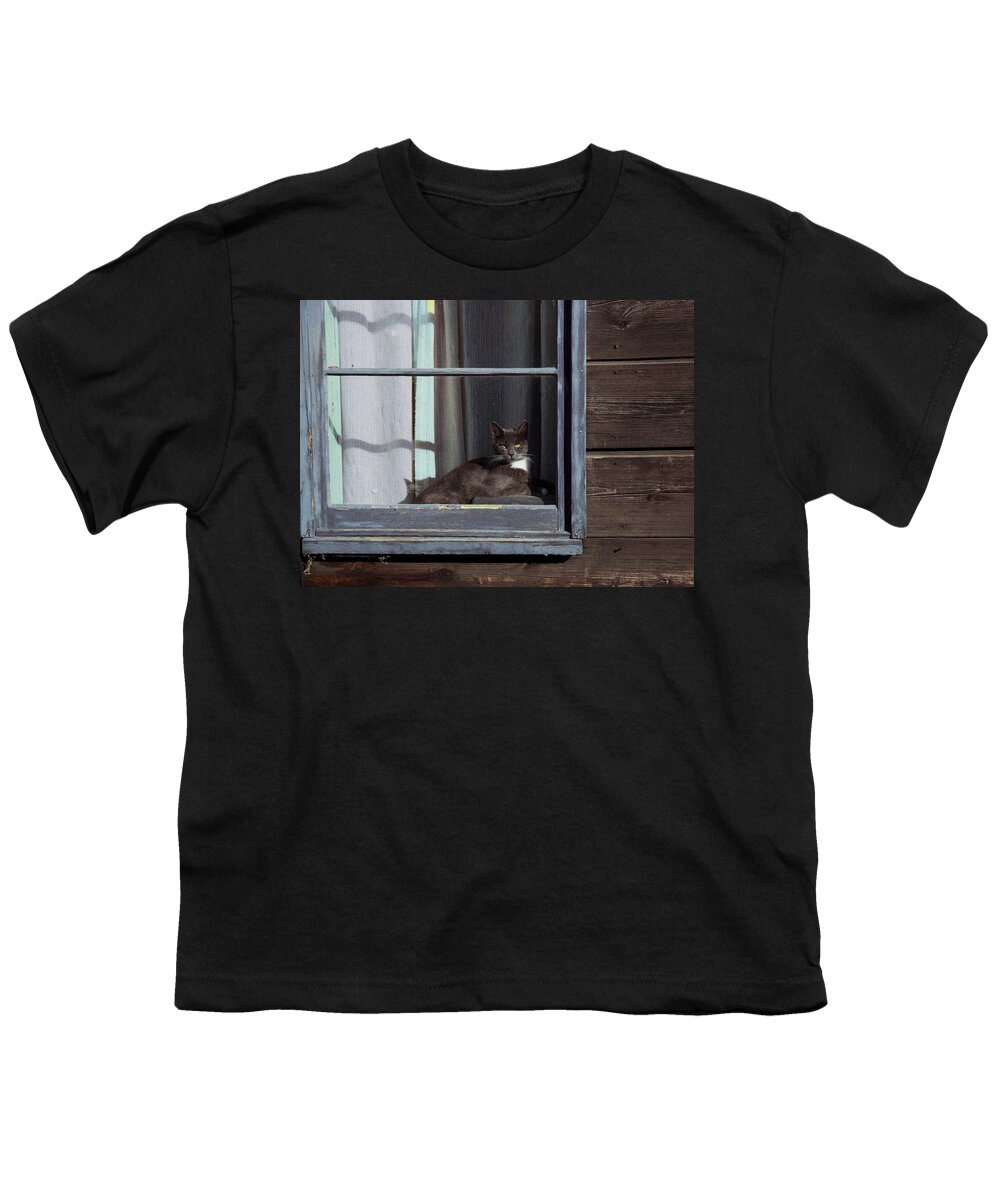 Cat Youth T-Shirt featuring the photograph Purrfect by Kathy Bassett