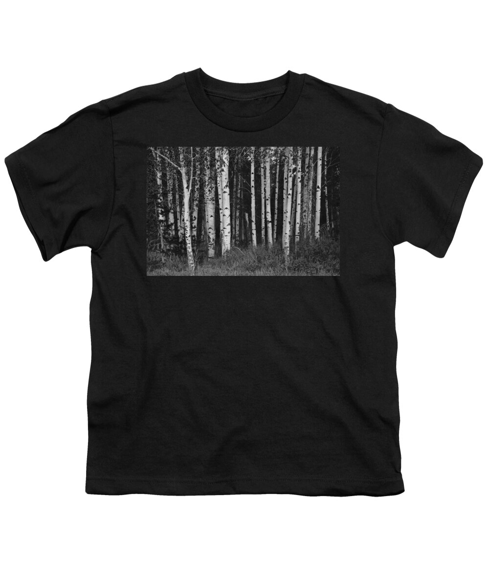 Quaking Aspen Youth T-Shirt featuring the photograph Quaking Aspen Stand by Eric Tressler