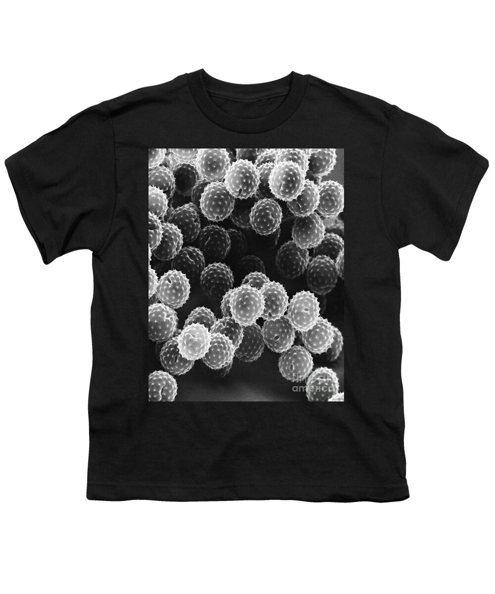 Science Youth T-Shirt featuring the photograph Ragweed Pollen Sem by David M. Phillips / The Population Council