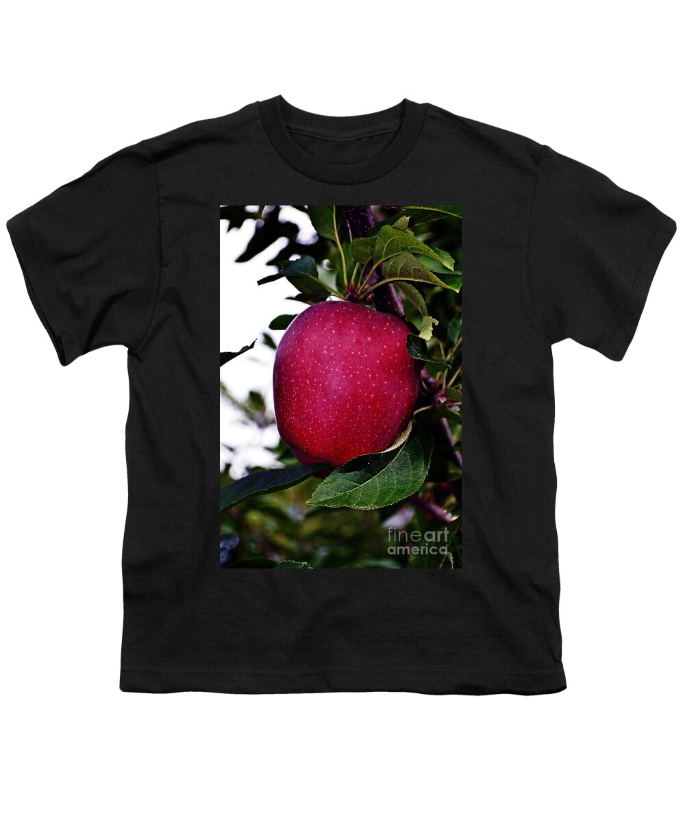 Apple Youth T-Shirt featuring the photograph Red Delicious by Kevin Fortier