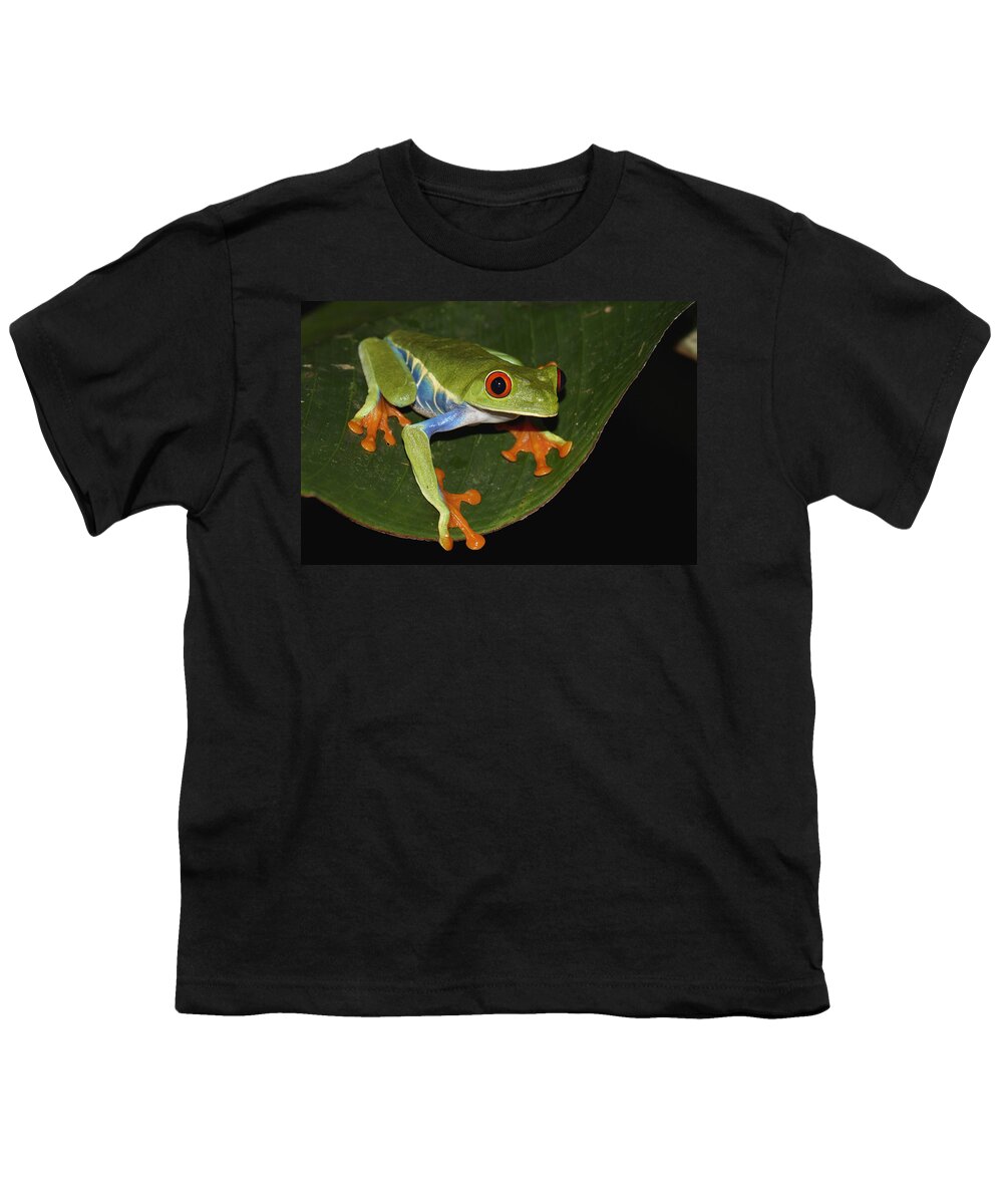 Feb0514 Youth T-Shirt featuring the photograph Red-eyed Tree Frog Costa Rica by Hiroya Minakuchi