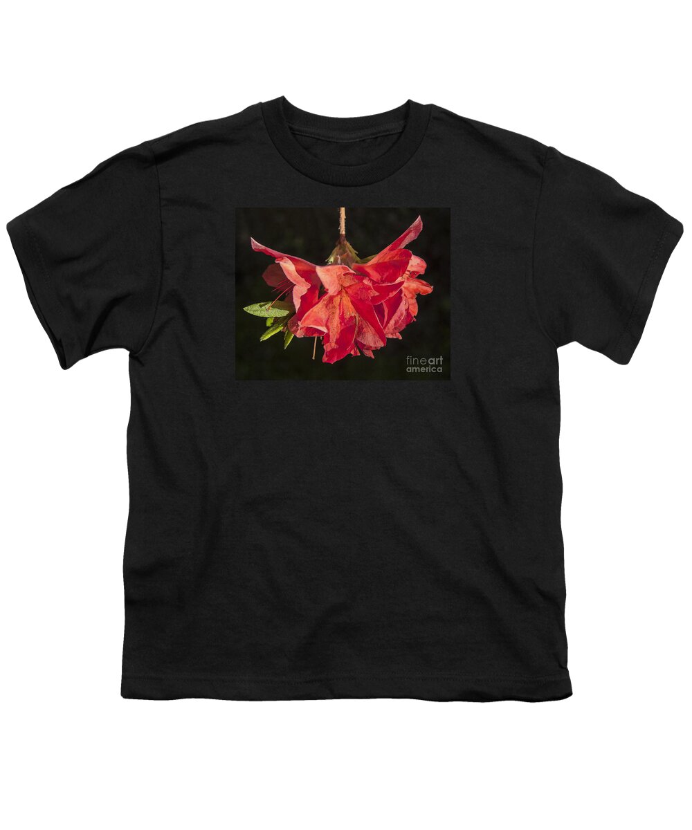 Red Youth T-Shirt featuring the digital art Red Rhododendron by Liz Leyden