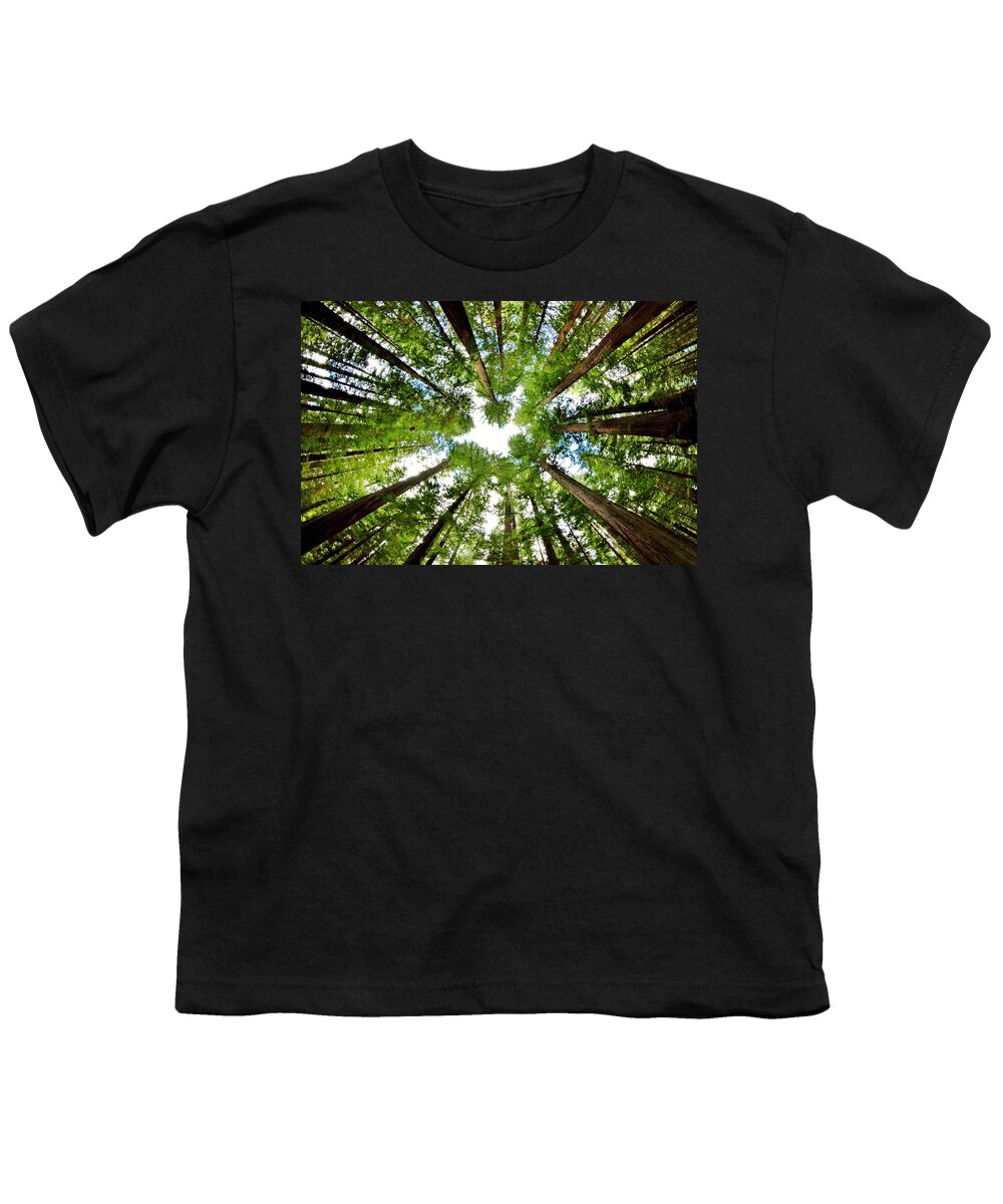 Redwoods Youth T-Shirt featuring the photograph Redwood Sky by Benjamin Yeager
