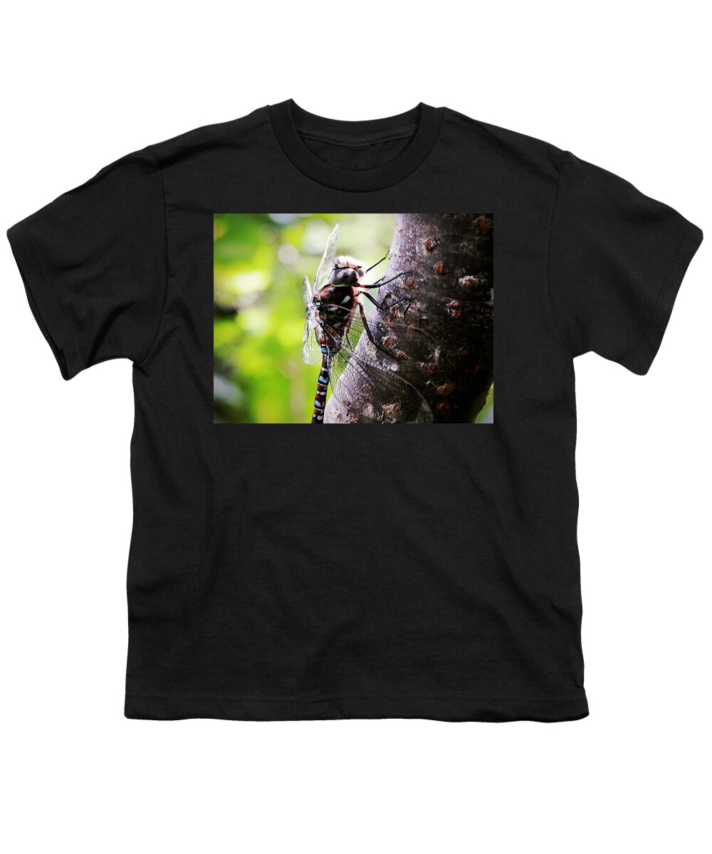 Resting Youth T-Shirt featuring the photograph Resting in Sunshine by Zinvolle Art
