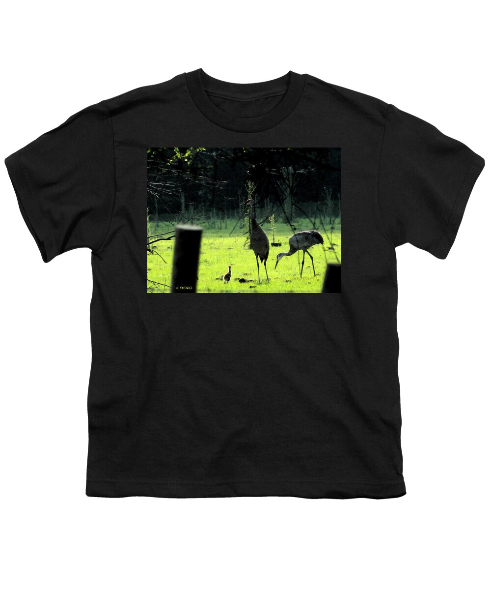 Sandhill Youth T-Shirt featuring the painting Sandhill Cranes and the First Chick of Spring by George Pedro
