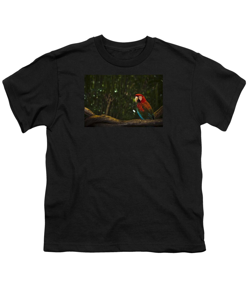 Scarlet Youth T-Shirt featuring the photograph Scarlet Macaw Profile by Bradley R Youngberg