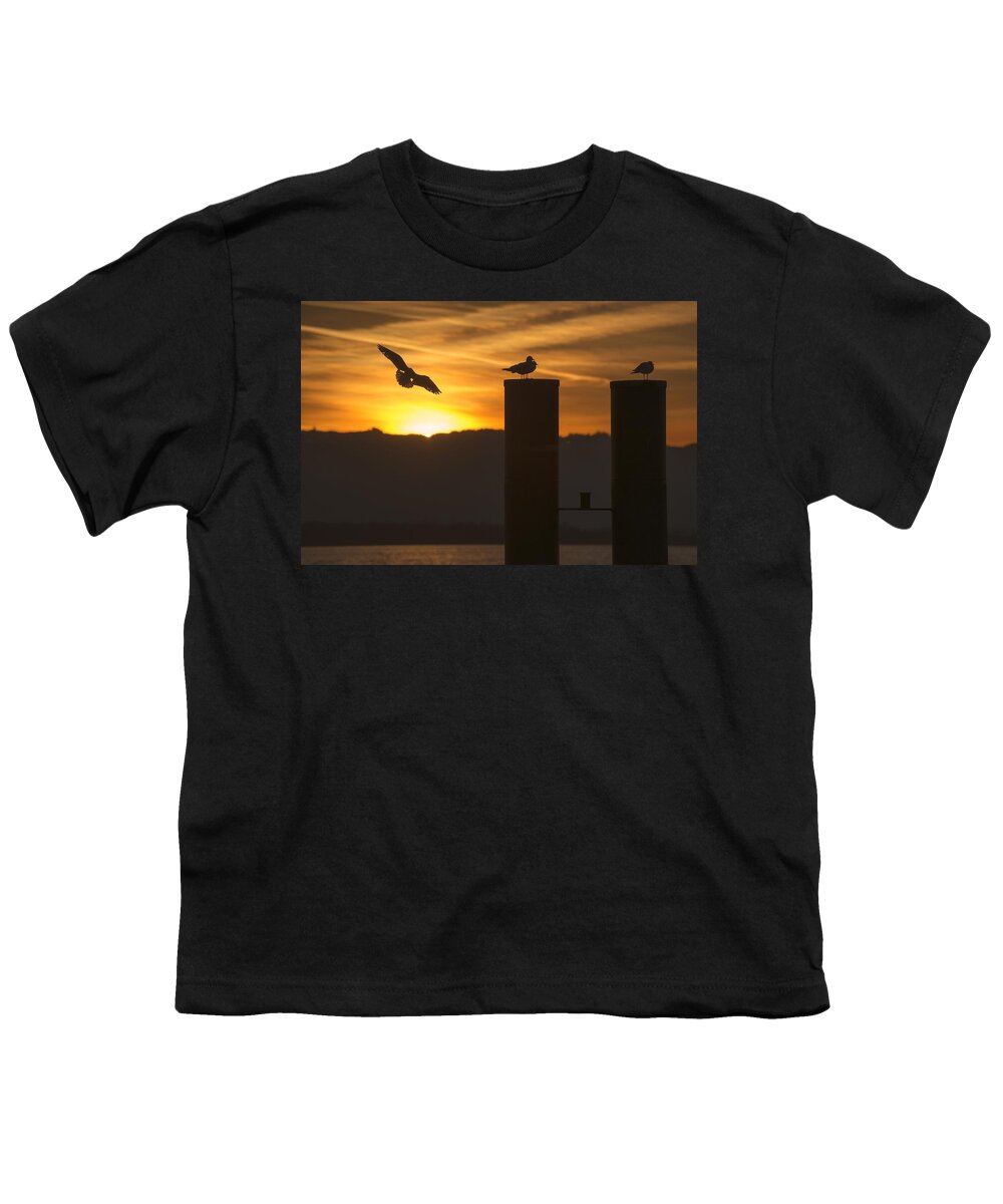 Seagull Youth T-Shirt featuring the photograph Seagull in the Sunset by Chevy Fleet