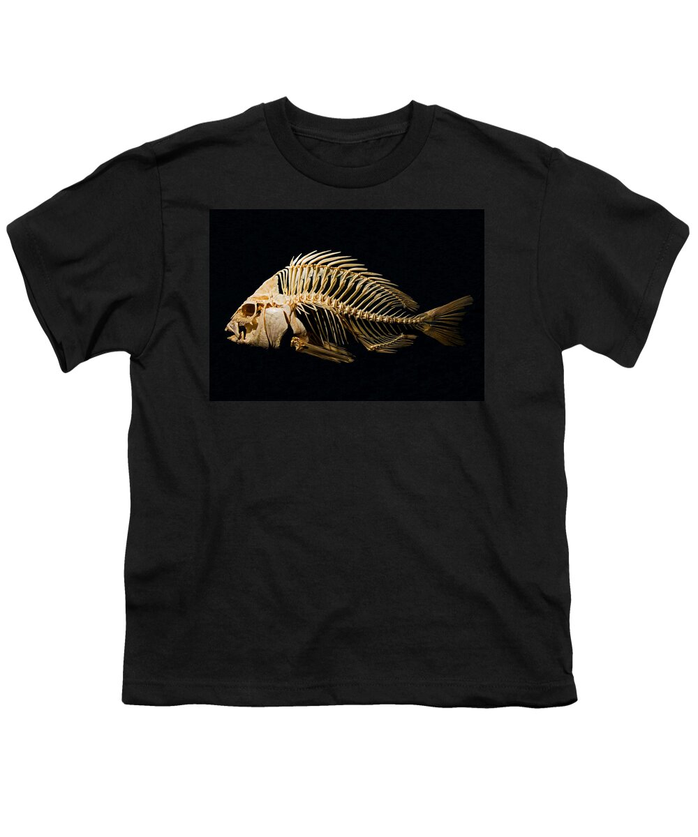 Sheepshead Fish Skeleton Youth T-Shirt