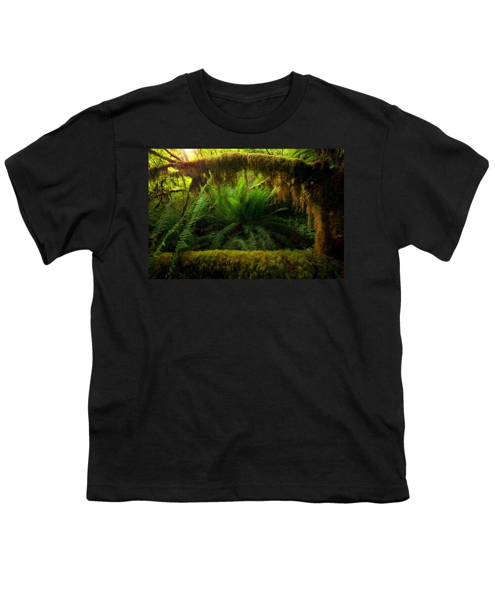 Shelter Youth T-Shirt featuring the photograph Sheltered Fern by Andrew Kumler