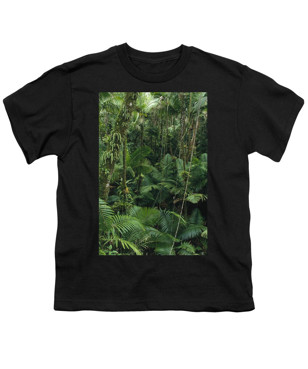 Feb0514 Youth T-Shirt featuring the photograph Sierra Palm Trees El Yunque Puerto Rico by Gerry Ellis