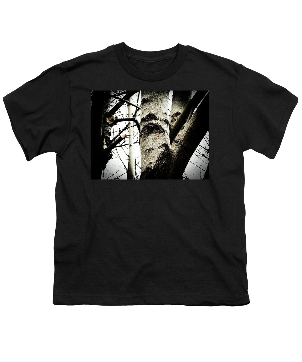 Tree Youth T-Shirt featuring the photograph Silent Witness by Zinvolle Art