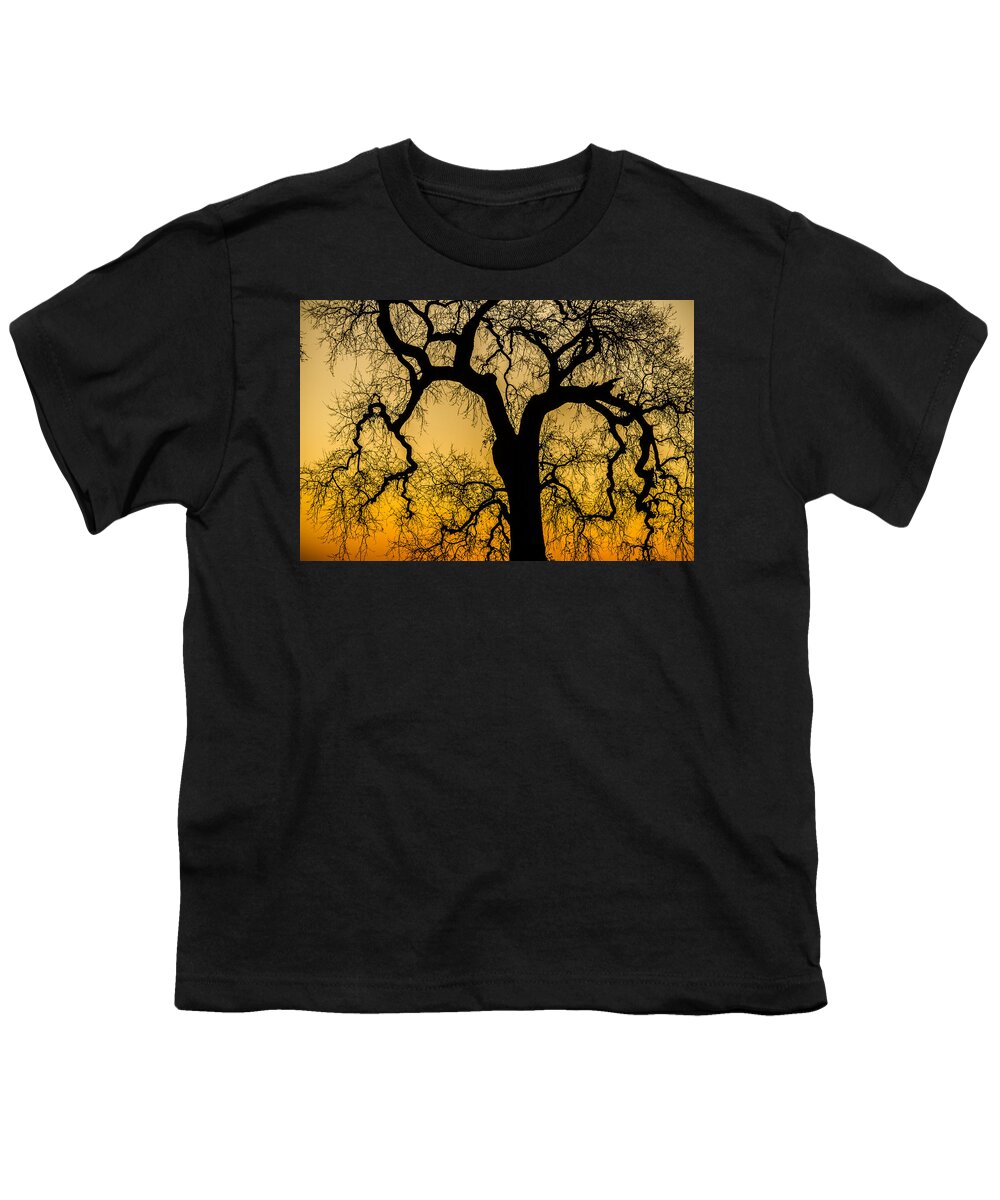 Oak Tree Youth T-Shirt featuring the photograph Silhouette Oak by Spencer Hughes