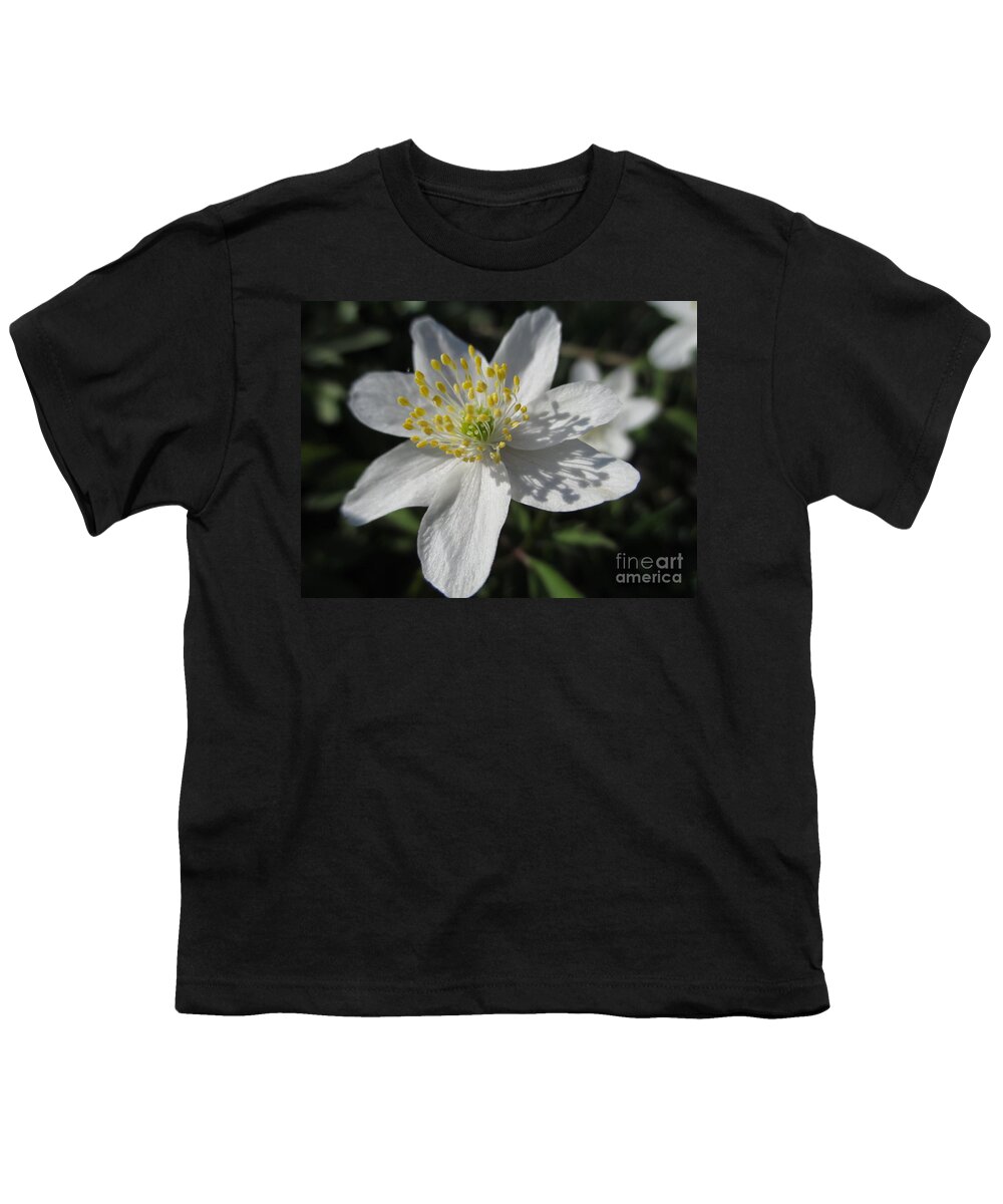 White Wood Anemones Youth T-Shirt featuring the photograph Single White Wood Anemone by Martin Howard