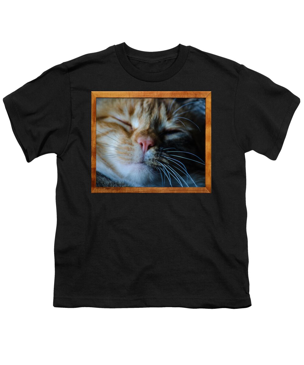 Cat Youth T-Shirt featuring the photograph Sleeping Abby Framed by Tikvah's Hope