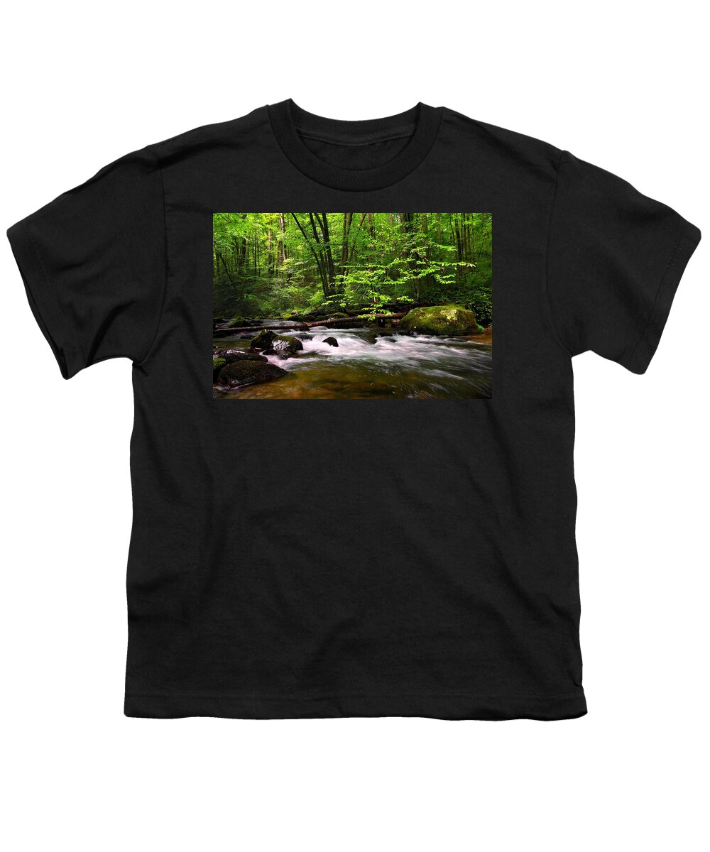 Great Smoky Mountain National Park Youth T-Shirt featuring the photograph Smoky Mountain Waters by Carol Montoya