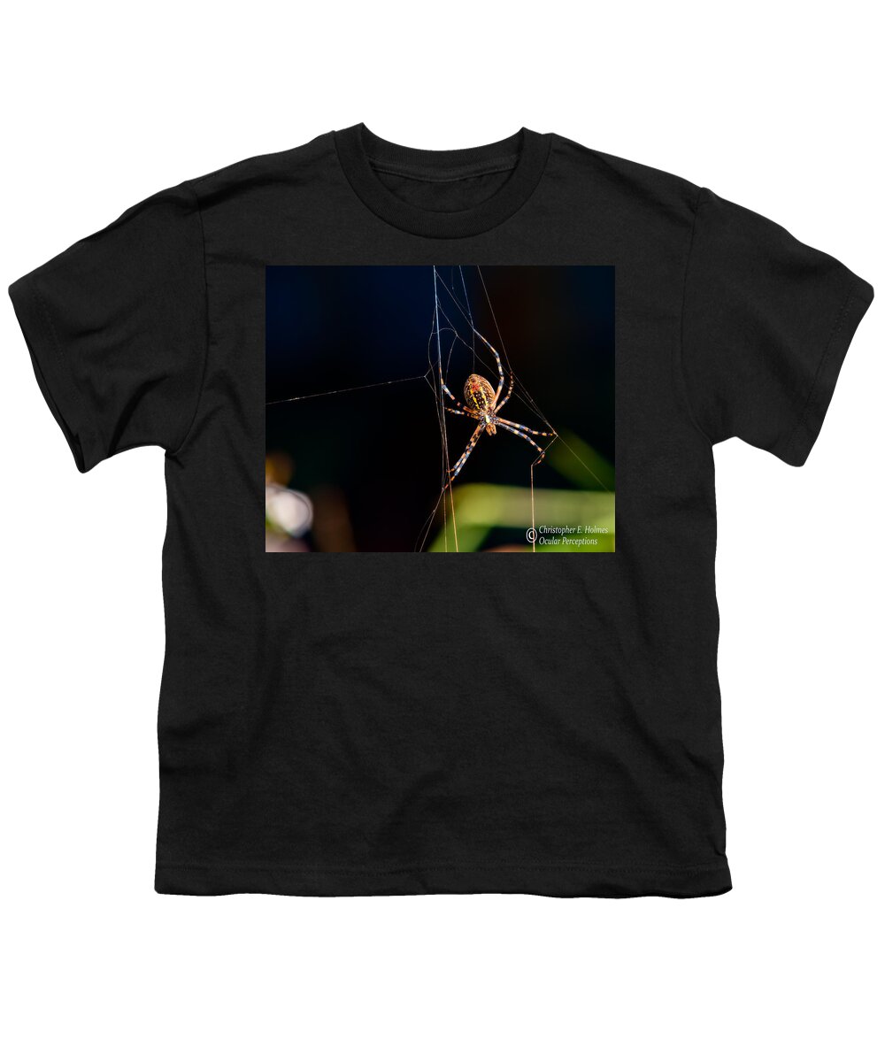 Spider Youth T-Shirt featuring the photograph Spider by Christopher Holmes