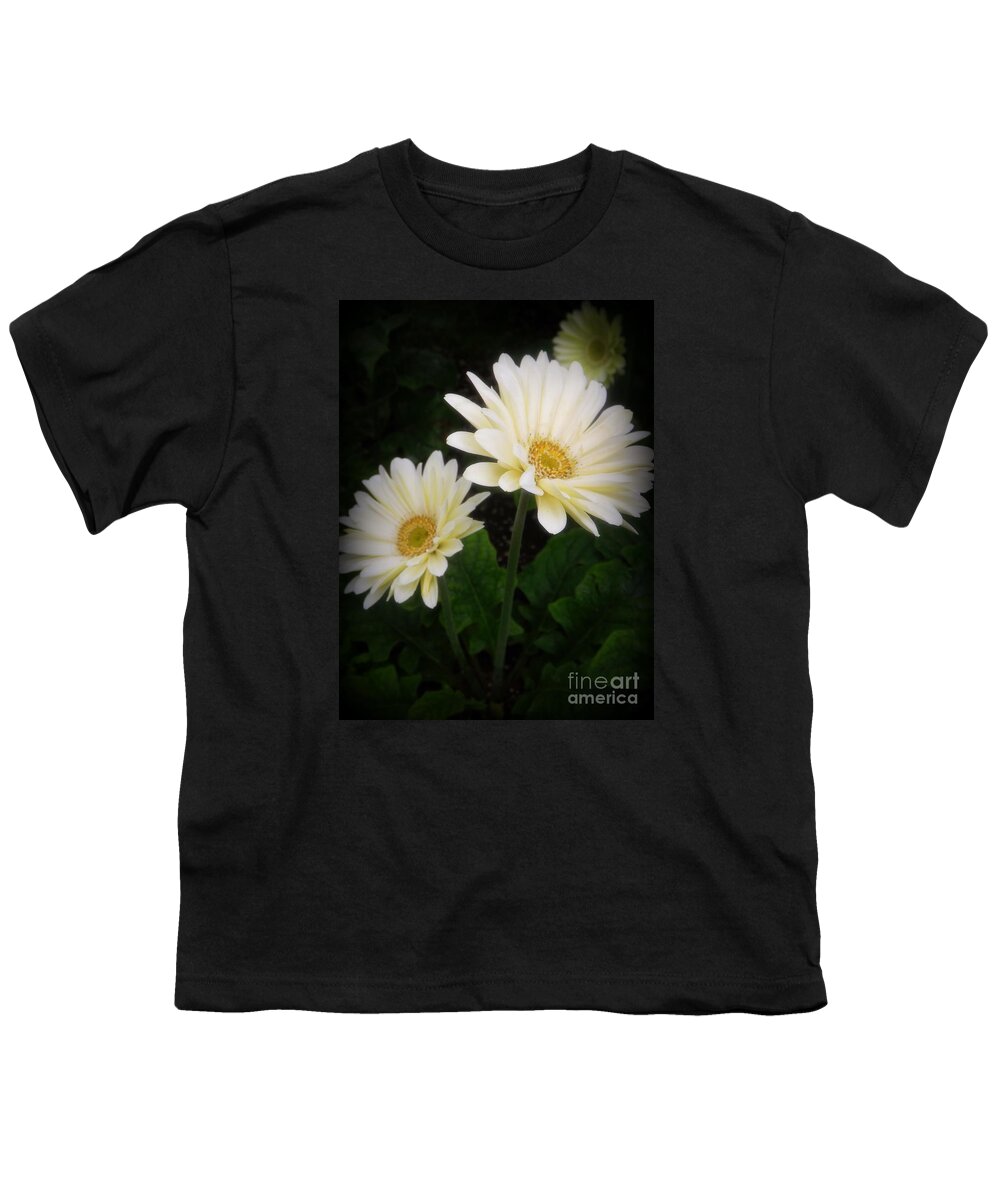 Botany Youth T-Shirt featuring the photograph Stand By Me Gerber Daisy by Lingfai Leung