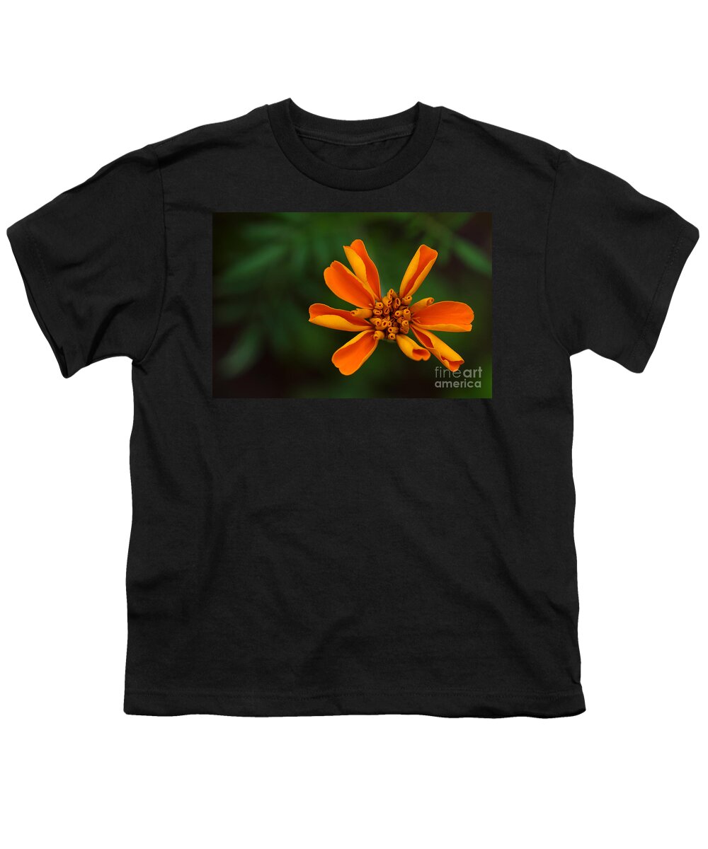 Marigold Youth T-Shirt featuring the photograph Summer's Unfolding by Michael Eingle
