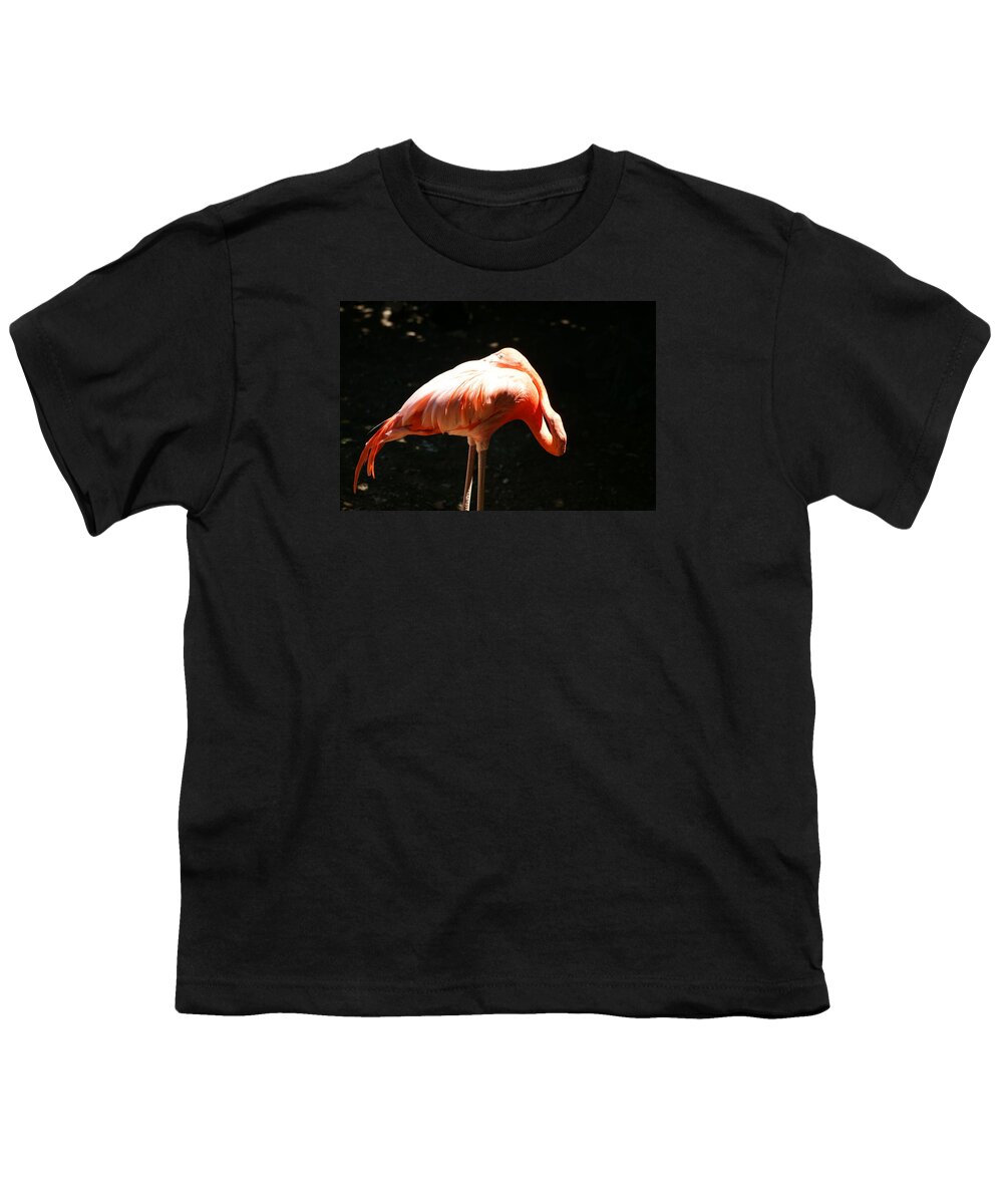 Flamingo Youth T-Shirt featuring the photograph Sun Bathing by Heidi Poulin