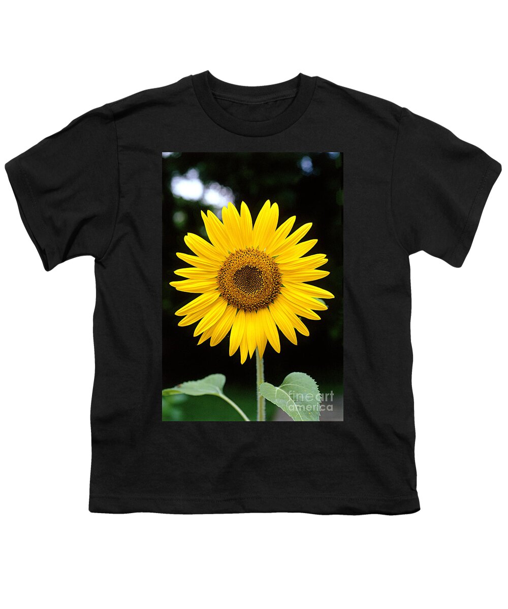 Plant Youth T-Shirt featuring the photograph Sunflower by Gregory G. Dimijian