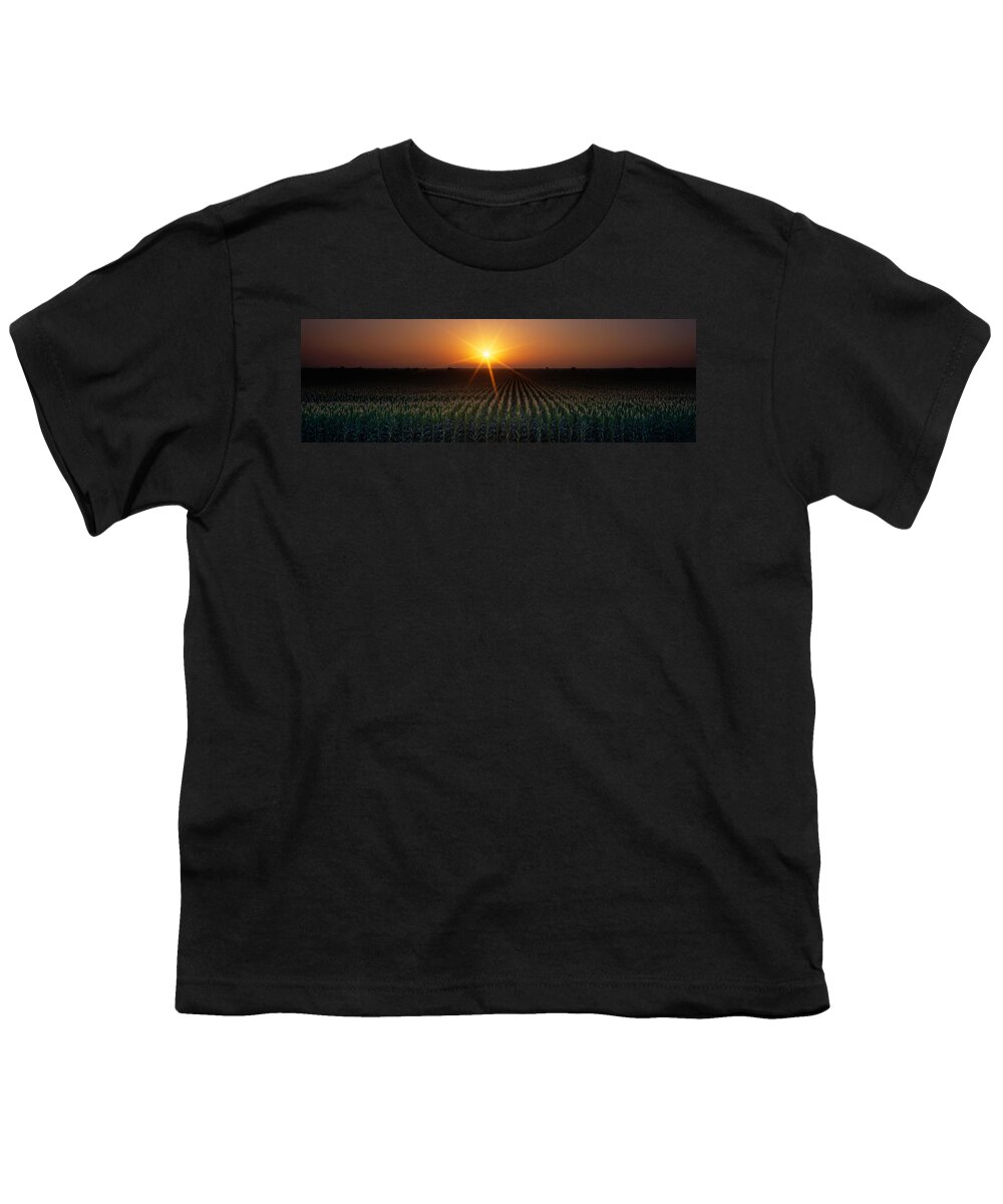 Photography Youth T-Shirt featuring the photograph Sunrise, Crops, Farm, Sacramento by Panoramic Images
