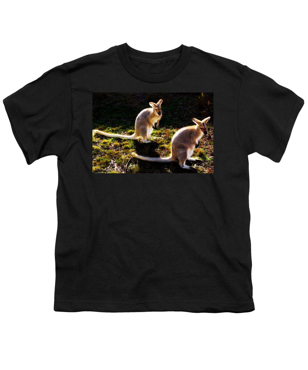 #wallaby Youth T-Shirt featuring the photograph Red-necked Wallabies by Miroslava Jurcik