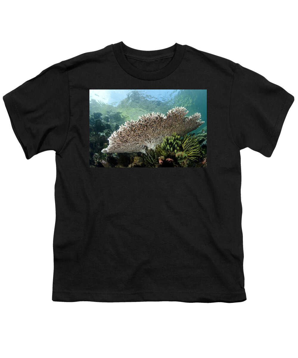 Flpa Youth T-Shirt featuring the photograph Table Coral In Horseshoe Bay Indonesia by Colin Marshall