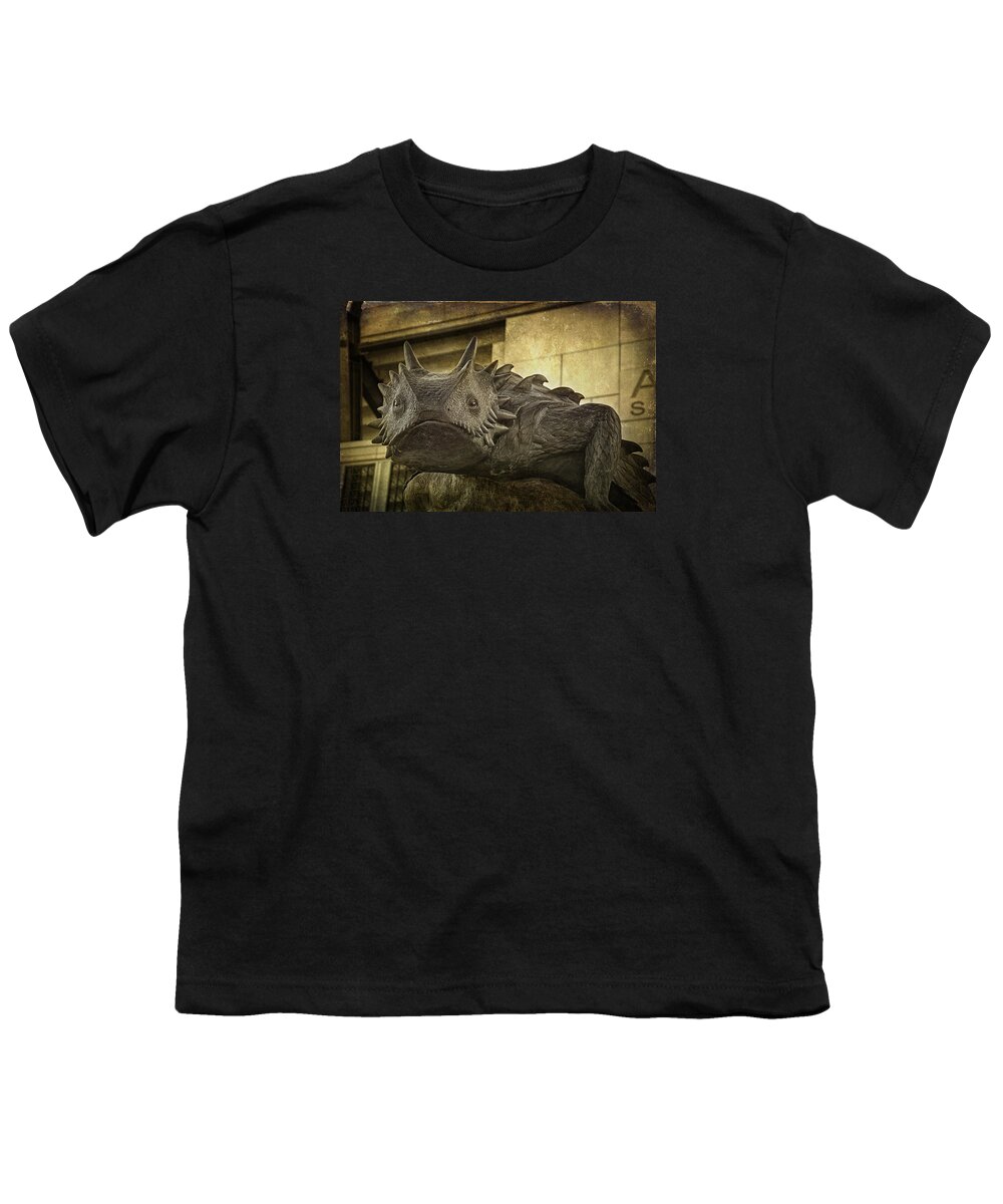 Joan Carroll Youth T-Shirt featuring the photograph TCU Horned Frog by Joan Carroll